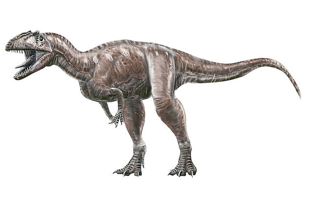 File:Marshosaurus-nhm.ac.uk.jpg