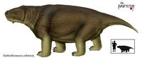 Embrithosaurus schwarzi