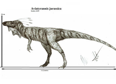 Aviatyrannis jurassica by teratophoneus-d549y2v