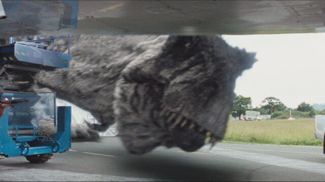 File:3x4 Giganotosaurus 40.jpg