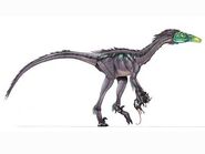 Saurornithoides-1