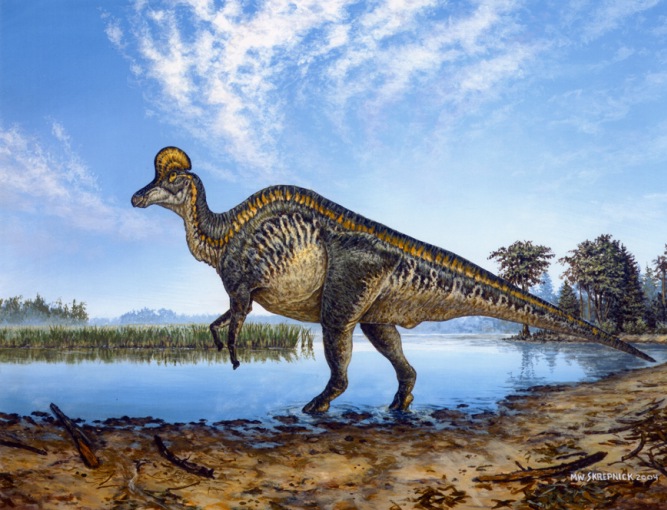 Corythosaurus | Dinopedia | FANDOM powered by Wikia