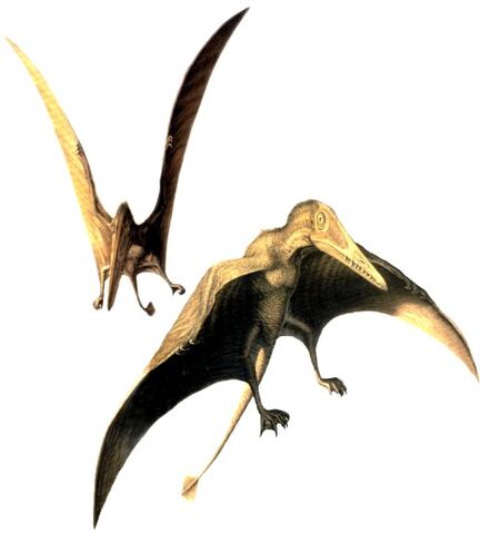 File:Preondactylus.jpg