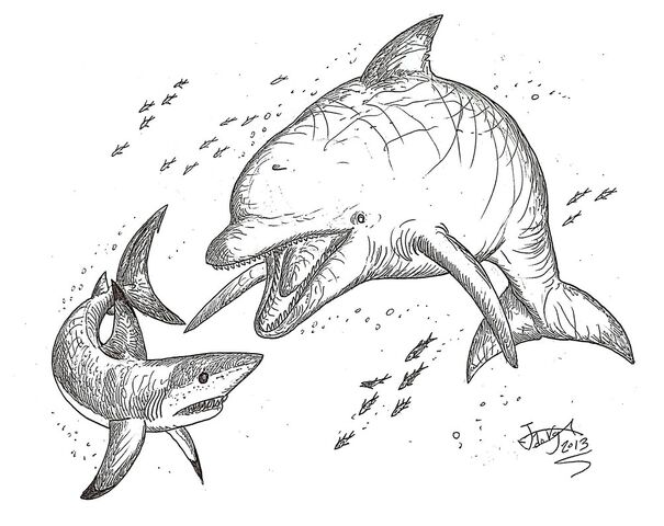 File:Macrokentriodon by hodarinundu-d5zivmh.jpg