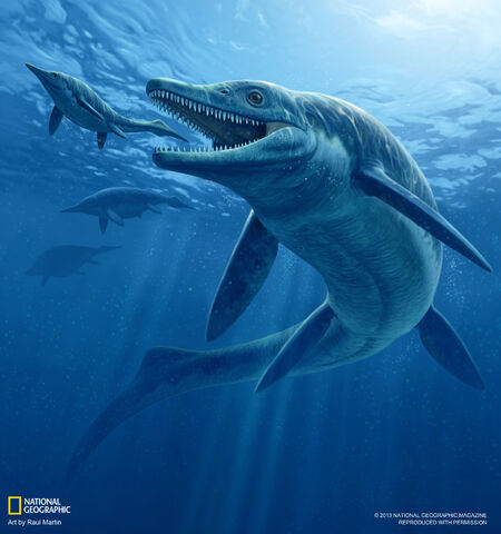 File:Thalattoarchon.jpg