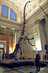 170px-Barosaurus mount 1