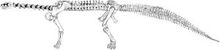 300px-OsbornMook1921-plate-LXXXII-ryder-camarasaurus