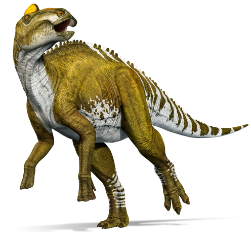 File:Edmontosaurus whole kwwswf.png