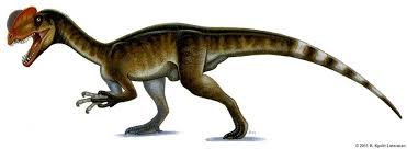 File:ImagesVY4MCSS3.jpg