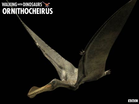 File:Ornithocheirus.jpg