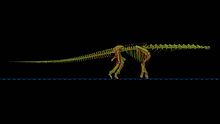 PLOS ONE Sauropod locomotion s010.ogv