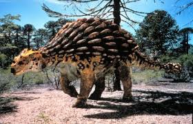 Imgresa
