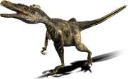 Velociraptor-dino-large