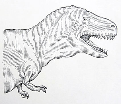 File:25139884.jpg