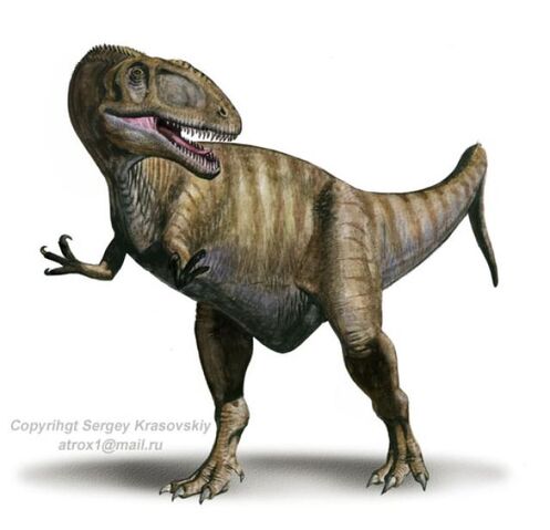 File:Eocarcharia-dinops.jpg