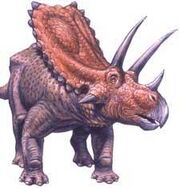 Pentaceratops1202325045