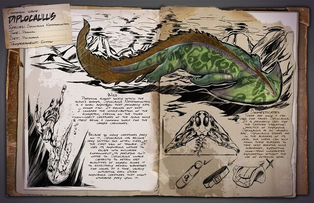 File:800px-Diplocaulus Dossier.jpg