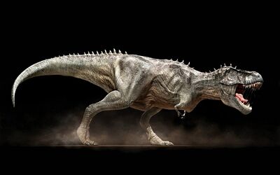 Tyrannosaurus-rex.73505