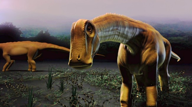 rebbachisaurid