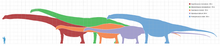 Longest dinosaurs1 (1)