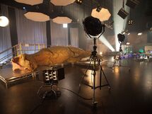 2096416 dino-on-set hy2vhyamxp64qwf6l2cajezrbeeatuw6lrlcsphco3flmkbrawuq 757x567