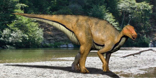 File:Koshisaurus NT.jpg