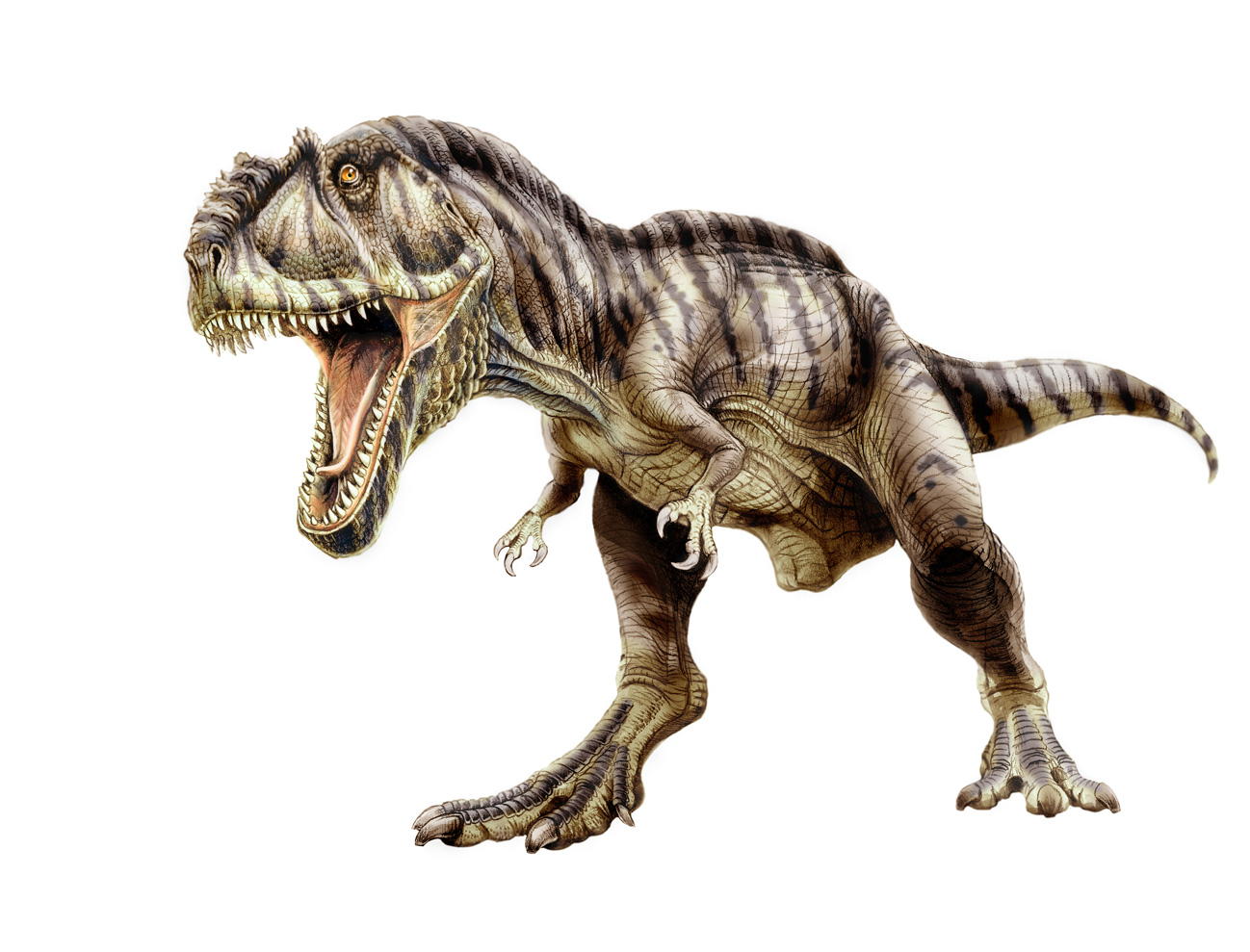 blue giganotosaurus