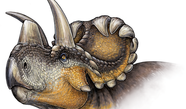 File:Wendiceratops.png
