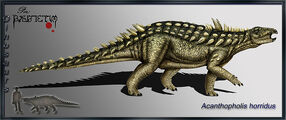 800px-Acanthopholis copia