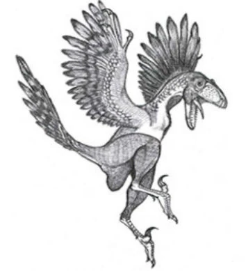 Hulsanpes Dinopedia Fandom powered by Wikia