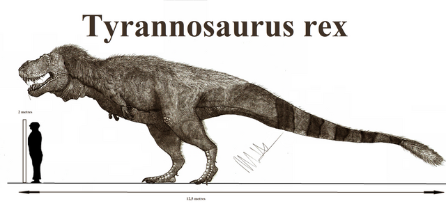 File:Tyrannosaurus rex by teratophoneus-d9bnkd0.png