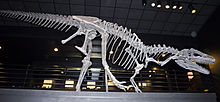 220px-Big Al Allosaurus