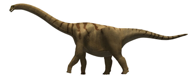 File:33-brontomerus render15.jpg