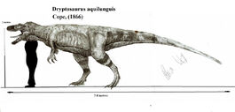 Dryptosaurus aquilunguis by teratophoneus-d54ripi