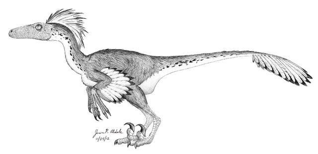 File:Troodon-drawing.jpg