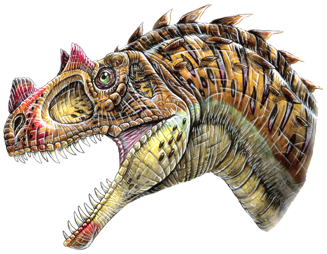 Ceratosaurus/Gallery | Dinopedia | FANDOM powered by Wikia