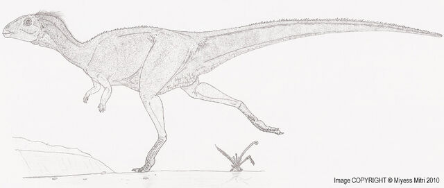 File:Qantassaurus intrepidus by miyess.jpg