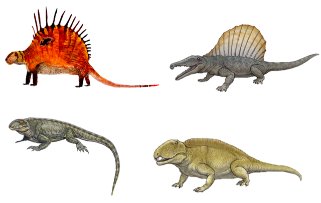 File:Sphenacodontidae.png