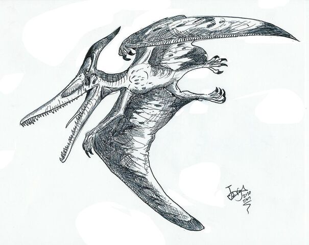 File:Ludodactylus by hodarinundu.jpg