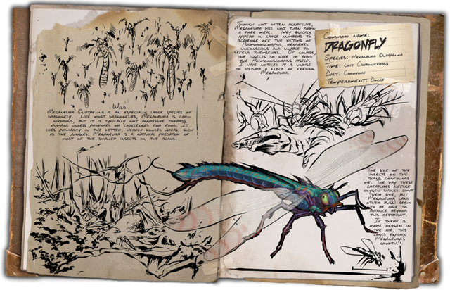 File:800px-Dossier Dragonfly.png