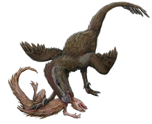File:Nuthetes and Echinodon.jpg