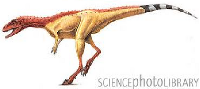 Noasaurus