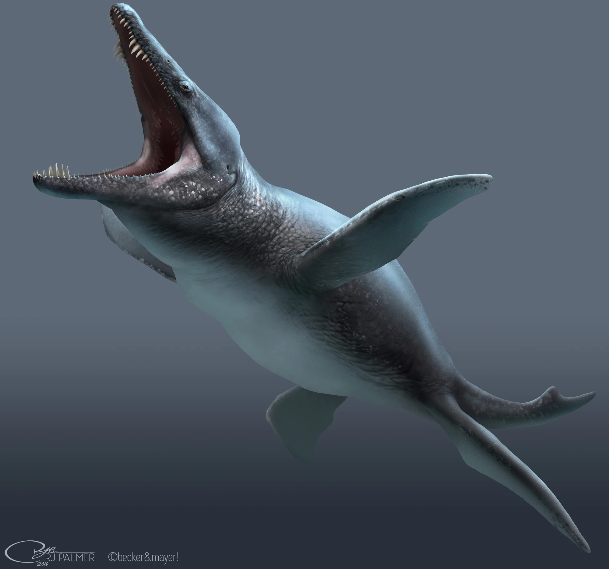 Liopleurodon Dinopedia FANDOM powered by Wikia