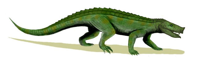 File:Notosuchus BW.jpg