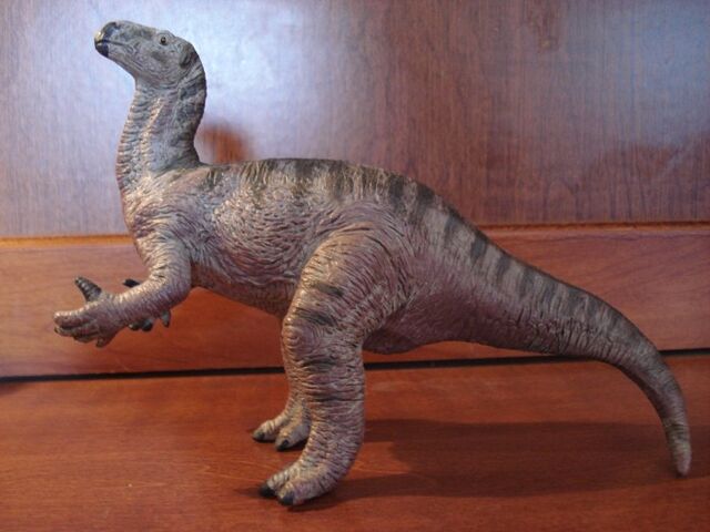 File:Carnegie Iguanodon.jpg