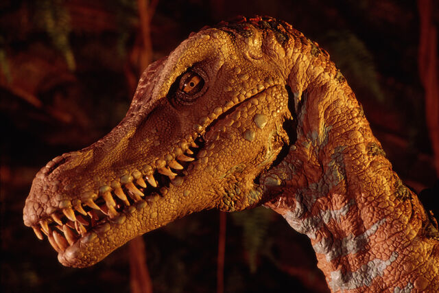 File:DAK velociraptor.jpg
