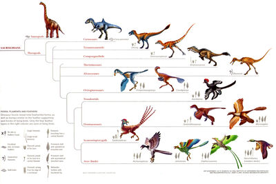 Coelurosauria