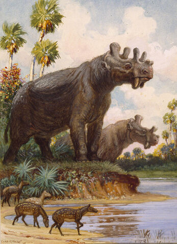 File:The-six-horned-uintatheres-thrived-charles-r-knight.jpg