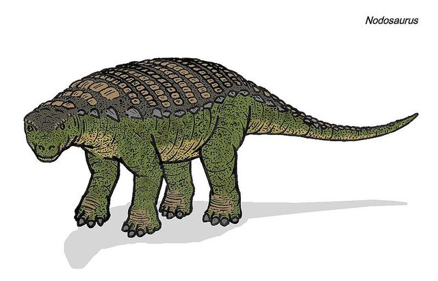 File:800px-Nodosaurus 500 TWA.jpg