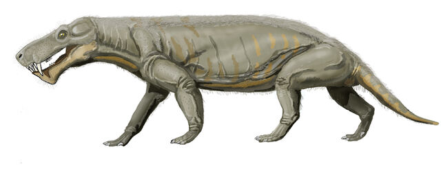 File:Gorgonops whaitsii1.jpg